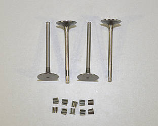 Впускний клапан (комплект) на Renault Lodgy 2012-> 1.6 — Renault (Оригінал) - 7701475894