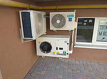 Холодильная камера для мяса 1