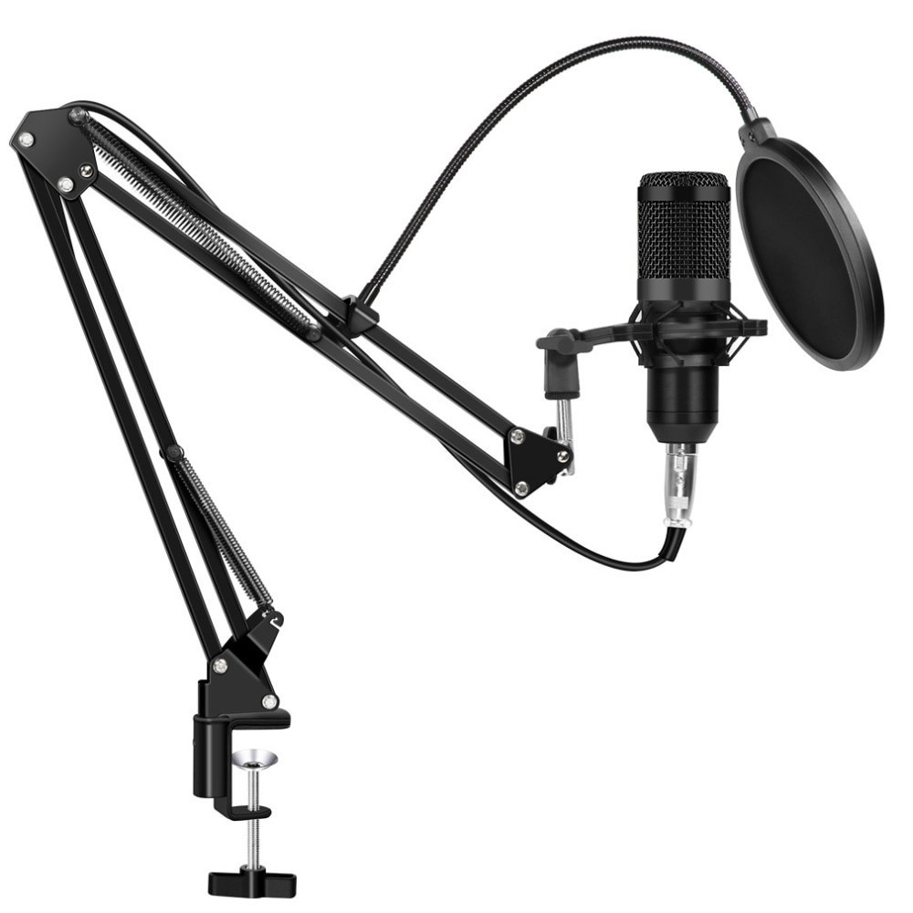 Мікрофон студійний RIAS M800 зі стійкою і вітрозахистом Black (3_00228)
