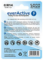 Аккумулятор everActive С/HR14 5000mAh BL 2шт