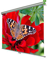 Екран настінний ручний Walfix 100" SNM-3 (152*203, 4:3)