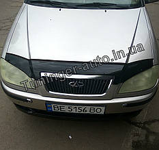 Мухобойка, дефлектор капота Chery Amulet 2003- (ANV)