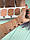 Рум'яна для обличчя TopFace Instyle Twin Blush On, фото 4