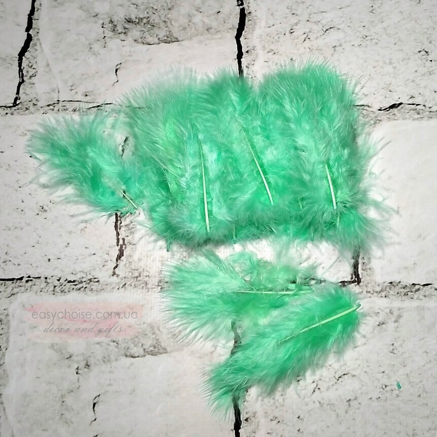 Пір'я декоративне, м'ятне, 25 шт.