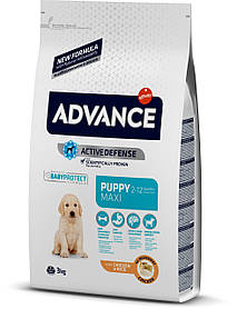 Advance Dog Maxi Puppy для цуценят великих порід із куркою та рисом, 3 кг