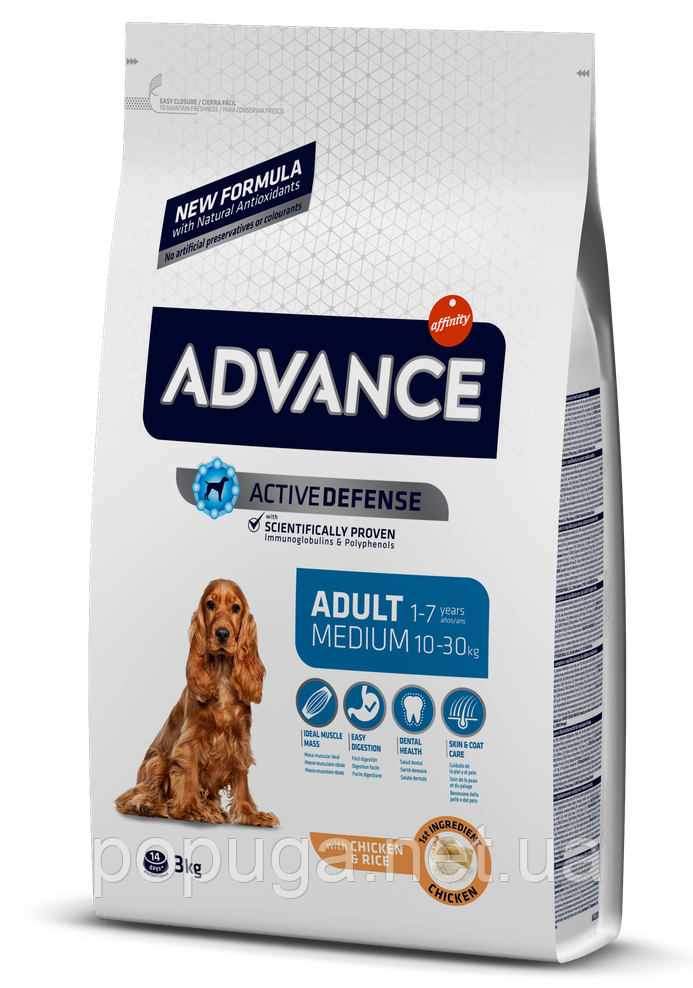 Advance Dog Medium Adult для дорослих собак середніх порід із куркою та рисом, 3 кг