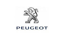 Дзеркало Peugeot