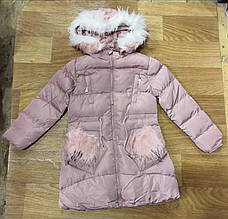 Куртки зимові на дівчаток оптом, Sincere, 8-16 рр, фото 3