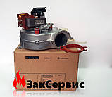 Вентилятор на газовий котел Ariston GENUS (EVO) 32/35/36 FF	65105042, фото 3