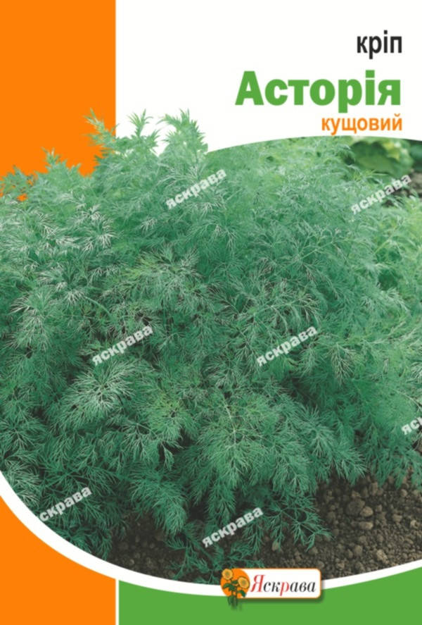 

Укроп кустовой Астория 20 г, семена Яскрава