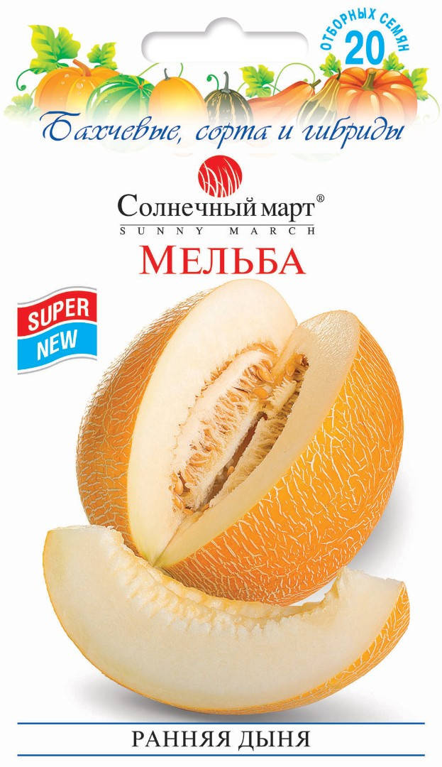 

Дыня Мельба, 20шт.