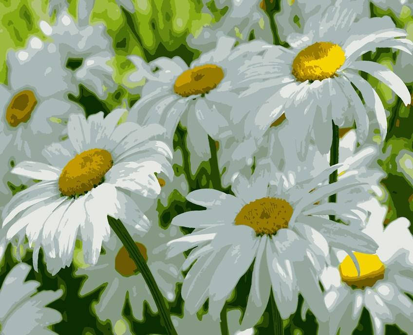 

Картина по номерам Artissimo Ромашки (PN7151) 40 х 50 см (Без коробки)