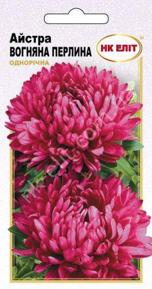 

Астра Огненная Жемчужина, Красный