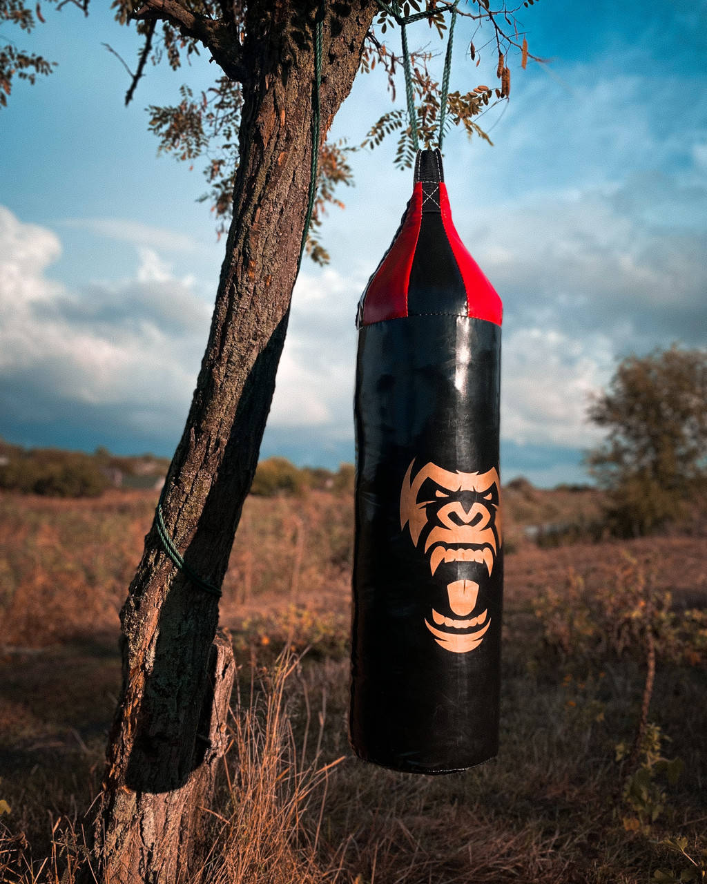 

Боксерский мешок груша BIG MONKEY из ПВХ: 80 см черный