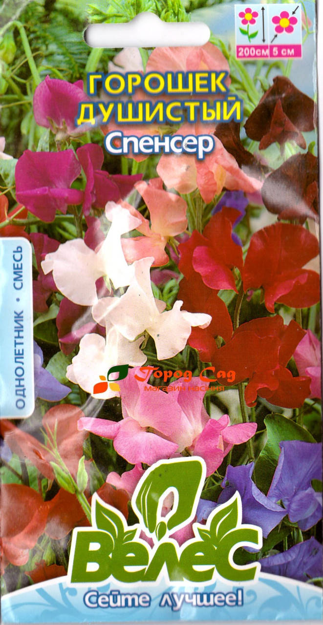 

Семена горошка душистого Спенсер 1г ТМ ВЕЛЕС