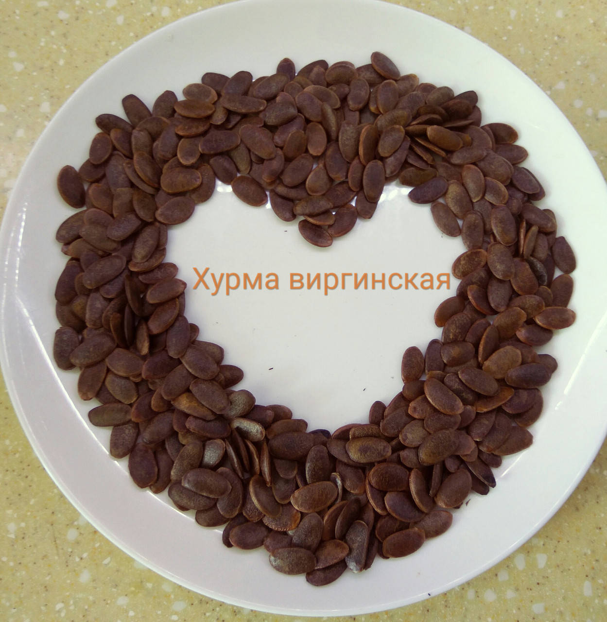 

Семена хурмы виргинской