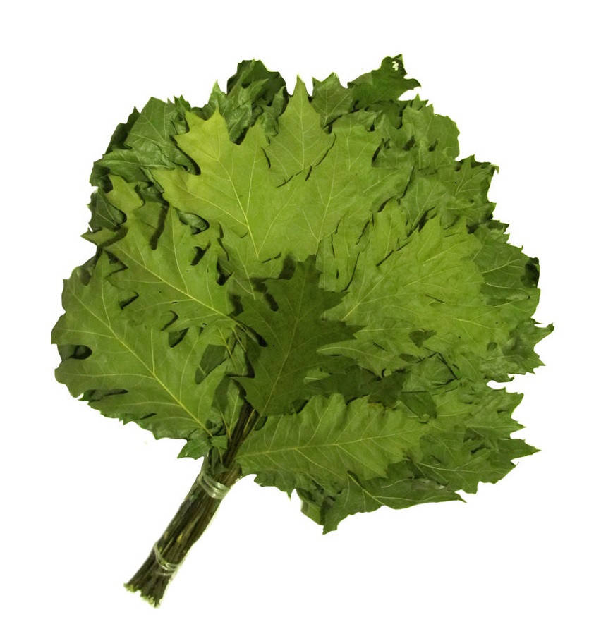 

Веник дуб для бани