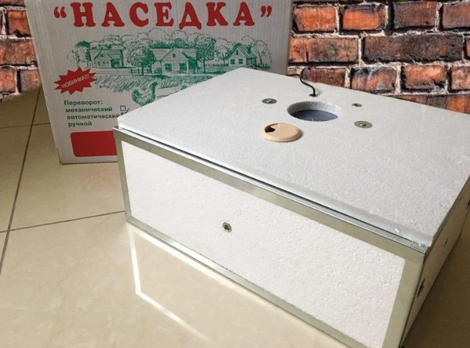

Домашний инкубатор для яиц Наседка 60 яиц с ручным переворотом Инкубатор бытовой