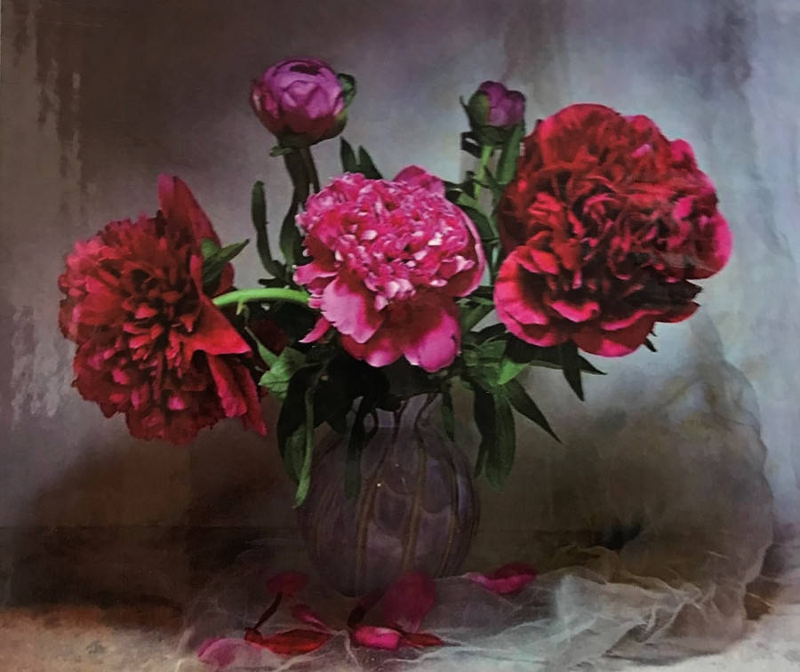 

Набір "Діамантова мозаїка" Півонії 40*50 на підрамнику