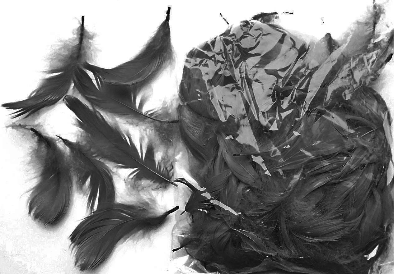 

Перья черные декоративные (120 шт, 5-10 см), Черный