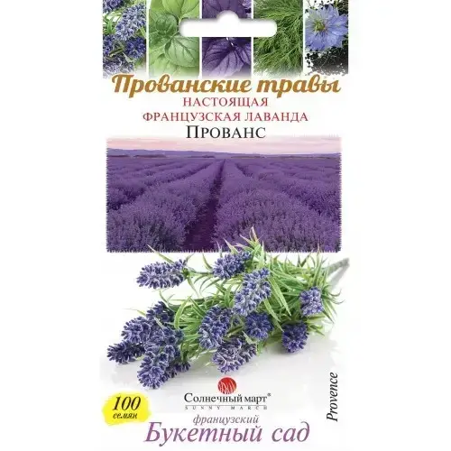 

Лаванда французская Прованс, 100 шт