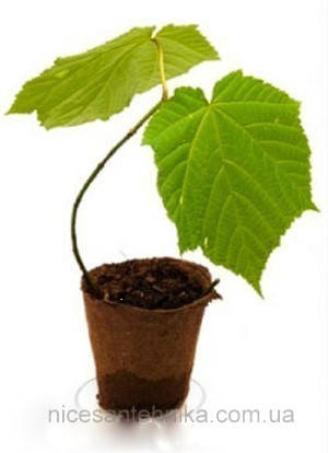 

Горшочки торфяные 80*80 мм.