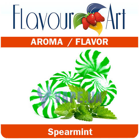

FlavourArt Spearmint (Пречная мята)