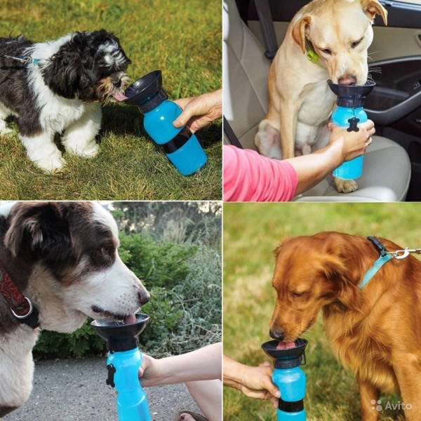 

Поилка для собак Aqua Dog Голубая, Голубой