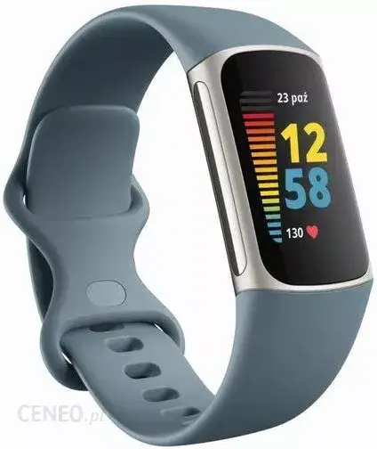 

FITBIT Charge 5 Steel Blue Platinum Stainless Steel