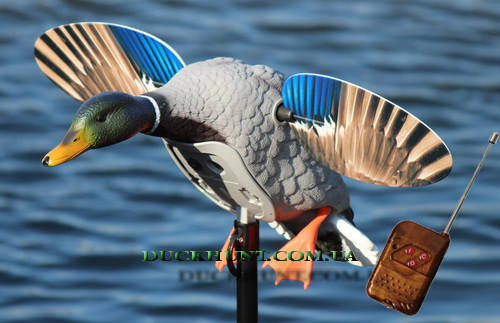 

Чучело селезня кряквы MOJO Elite King Mallard c Д/У