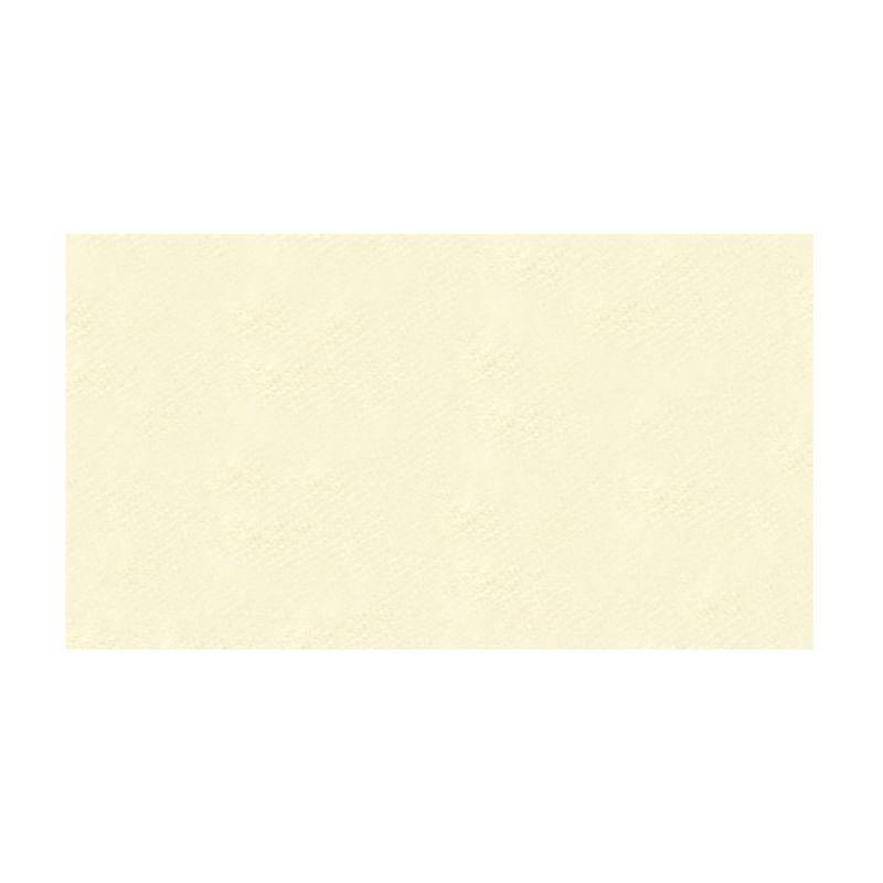 

Бумага акварельная A3 240г/м2 Rusticus Bianco (слоновая кость), Fabriano