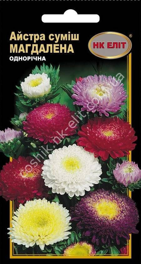 

Астра смесь Магдалена