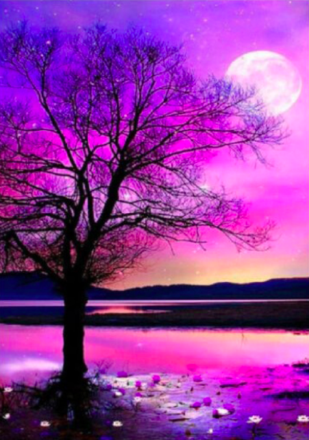 

Картина алмазная вышивка Полный месяц 40х30 см с круглыми кристаллами