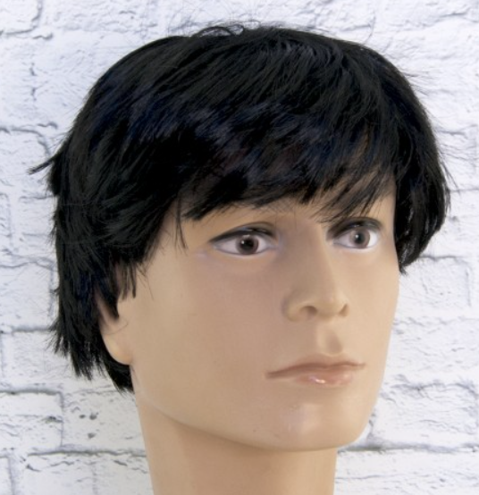 

Парик Черный для образа ABC гарсон