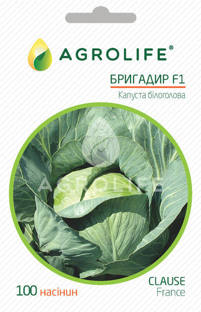 

Семена Капуста белокочанная среднепоздняя Бригадир F1, 100 семян Clause