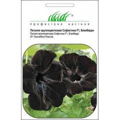 

Семена Петуния крупноцветковая Софистика Блекберри F1, 8 семян Pan American, Черный