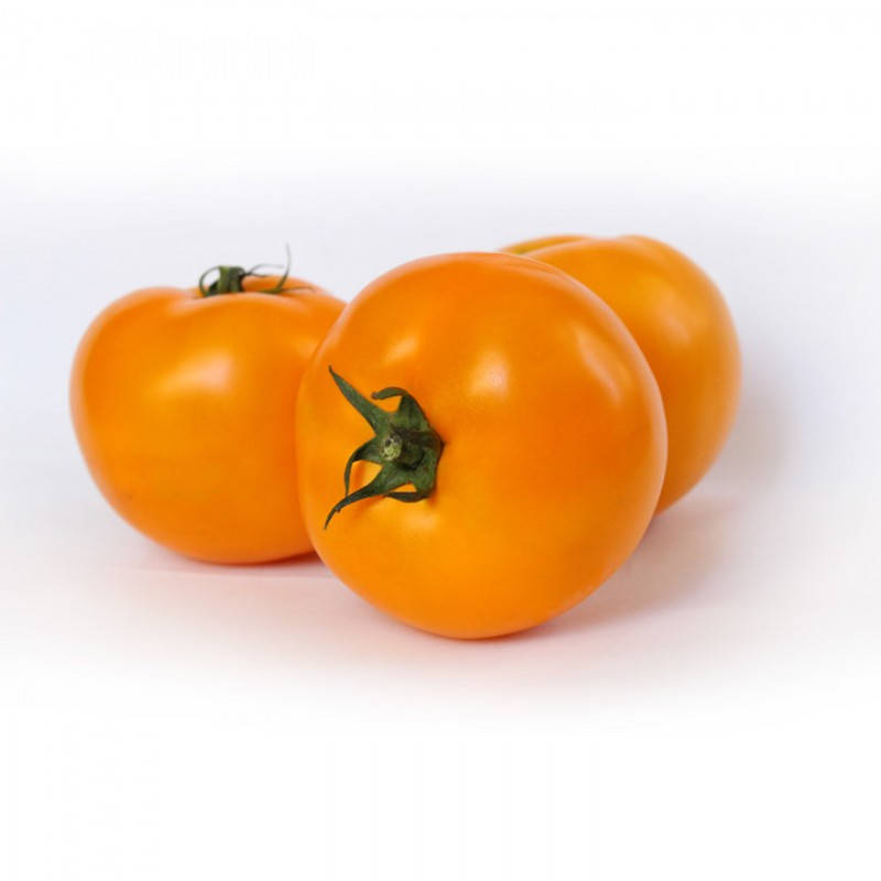 

Семена Томат индетерминантный Ямамото ( KS 10) F1 поштучно 10 семян Kitano Seeds