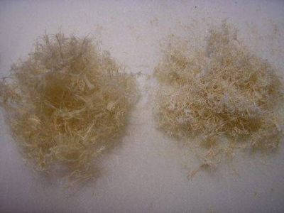 

Измельчённая люфа-3 грамма