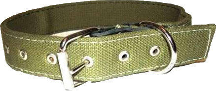 

Ошийник подвійний 3,5*55 см, Зелёный