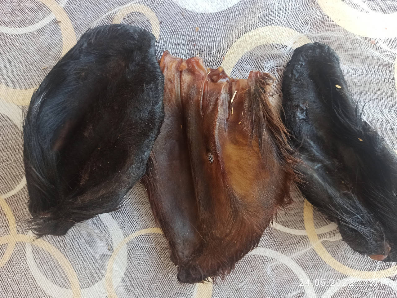 

Сушеные лакомства для собак ухо говяжье 1шт