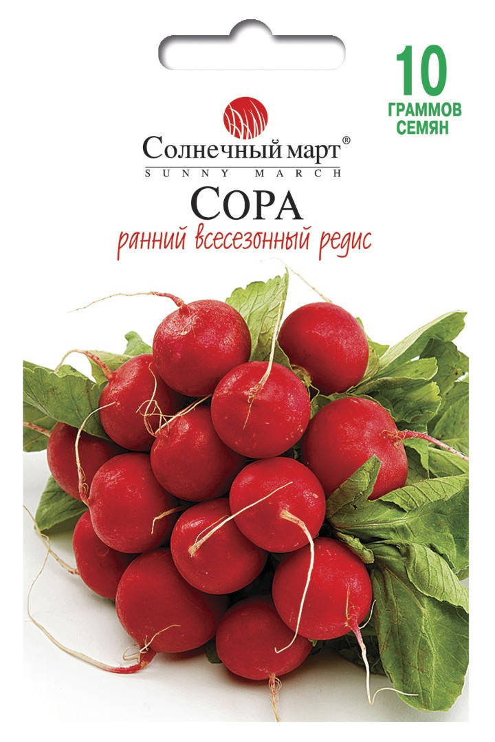 

Редис Сора (Германия), 10г.