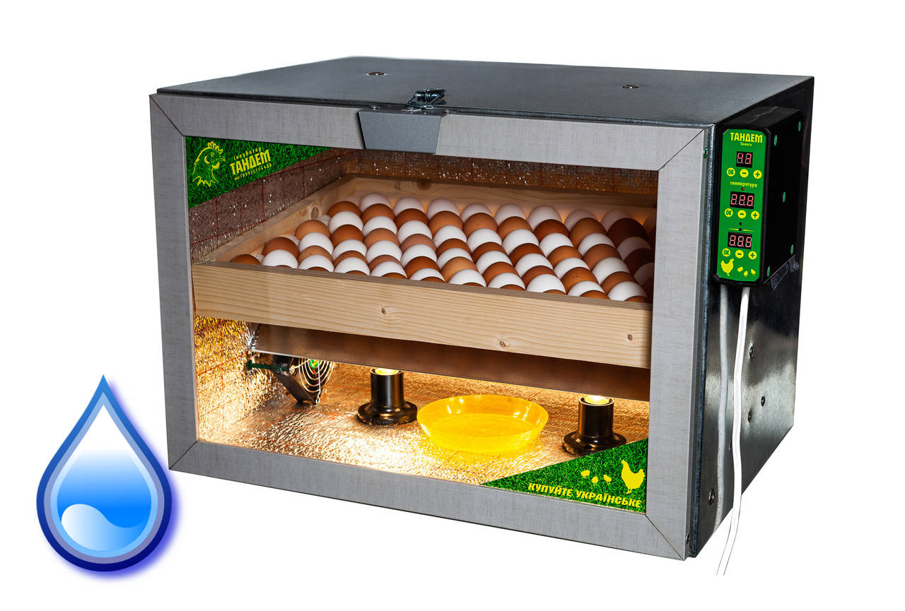 

Инкубатор Тандем 80 автомат + Влажность (на 80 куриных яиц)