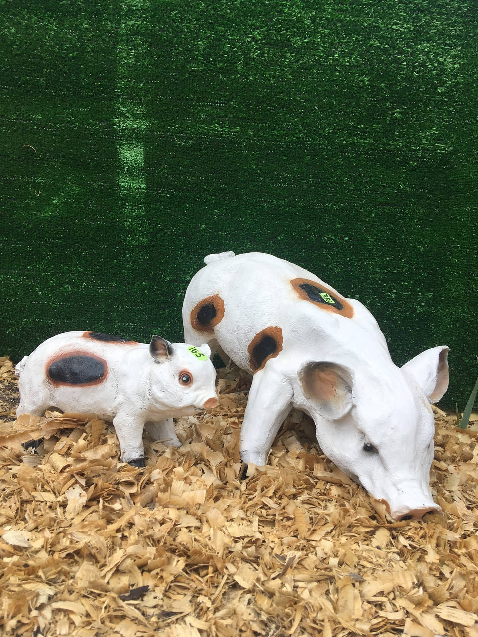 

Свиня вєтнамська велика висота 24 см