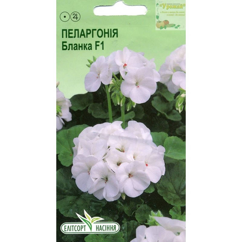 

Семена цветы Пеларгония Бланка F1, 5 семян
