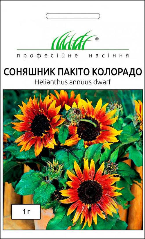 

Профсемена. Подсолнух Пакито Колорадо, (Цвет красно-коричневый, Фасовка 1 г.)
