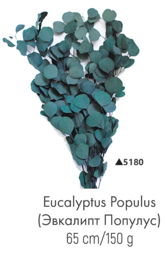 

Эвкалипт Populus, стабилизированный