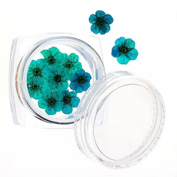 

Сухоцветы №43, Синий