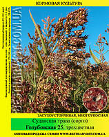 Семена суданской травы «Голубовская 25» 1 кг, трехцветная