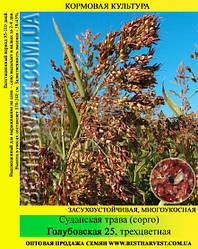 Насіння суданської трави «Голубовська 25» 1 кг, триколірна