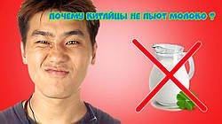 Почему китайцы не пьют молоко?